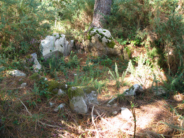 Dolmen de Kergu&eacute;arec